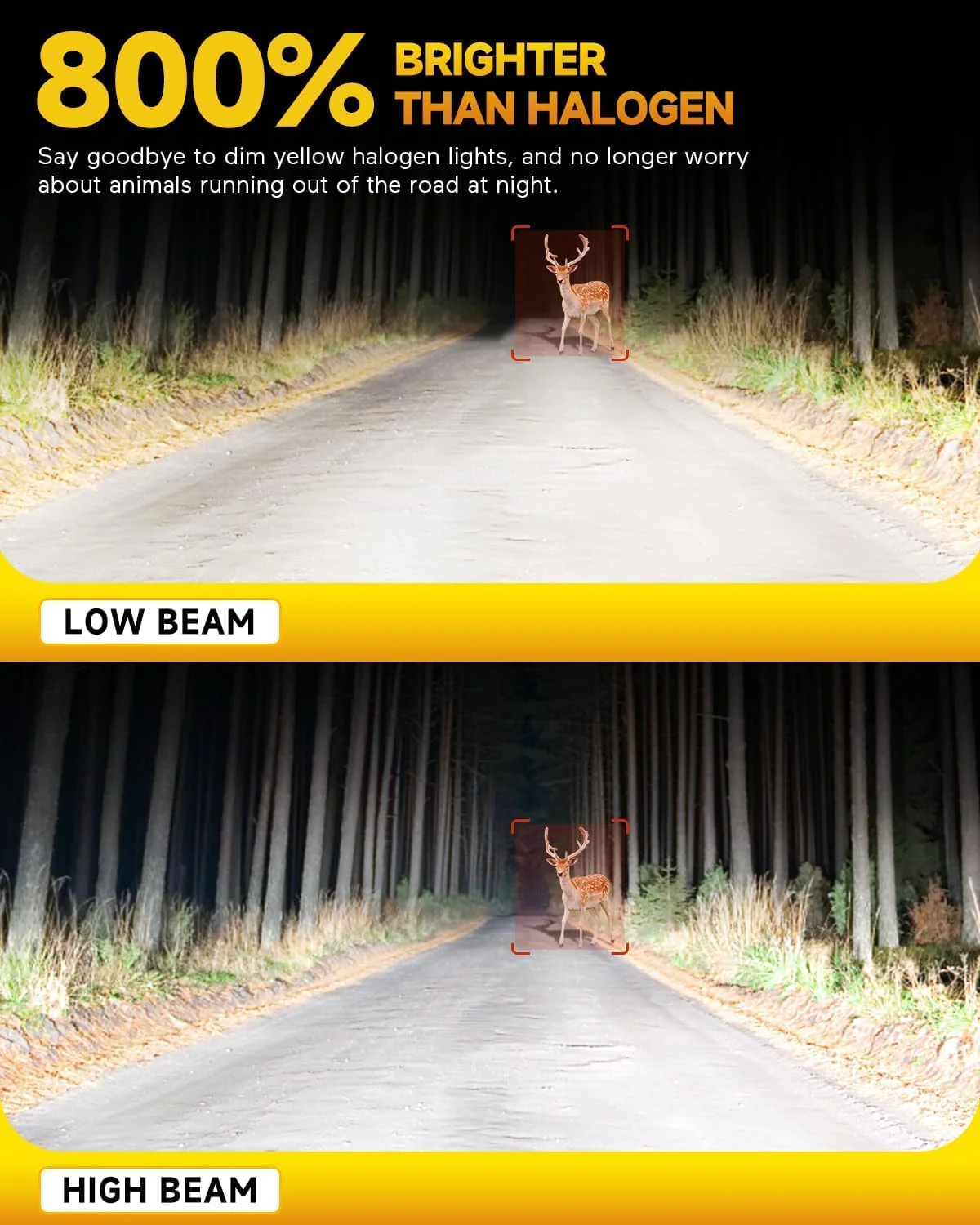 FAHREN 2026 H4 9003 LED Headlight Bulbs 800% Bright, Pack of 2 - Image 4